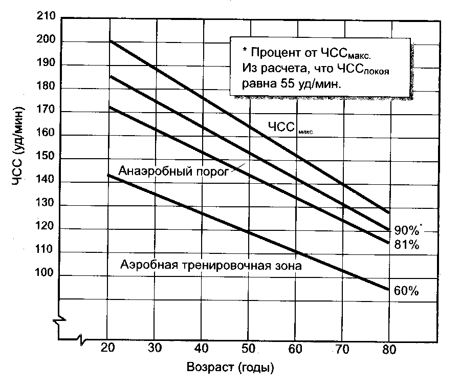 Чему равна нормальная частота сердечных сокращений. ЧСС В зависимости от нагрузки. Максимальный ЧСС от возраста. Способы подсчета ЧСС. ЧСС порог тренирующей нагрузки.