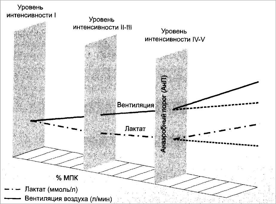 Интенсивность вентиляции